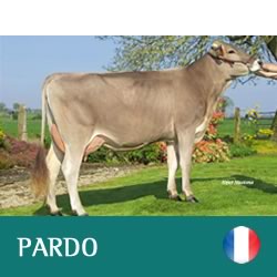 semen-caprino-ege