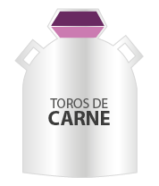 toros-leche